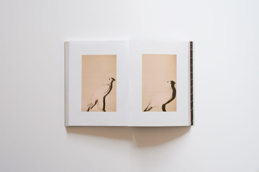 Andrea Ferrari, News, Book, Libri, Artist, Photographer, Fotografo