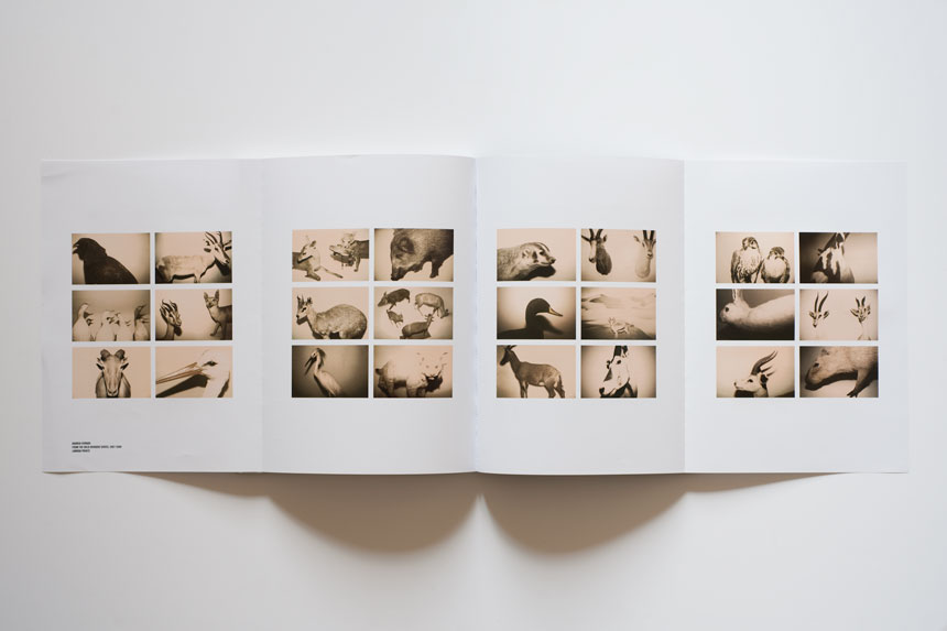 Andrea Ferrari, News, Book, Libri, Artist, Photographer, Fotografo