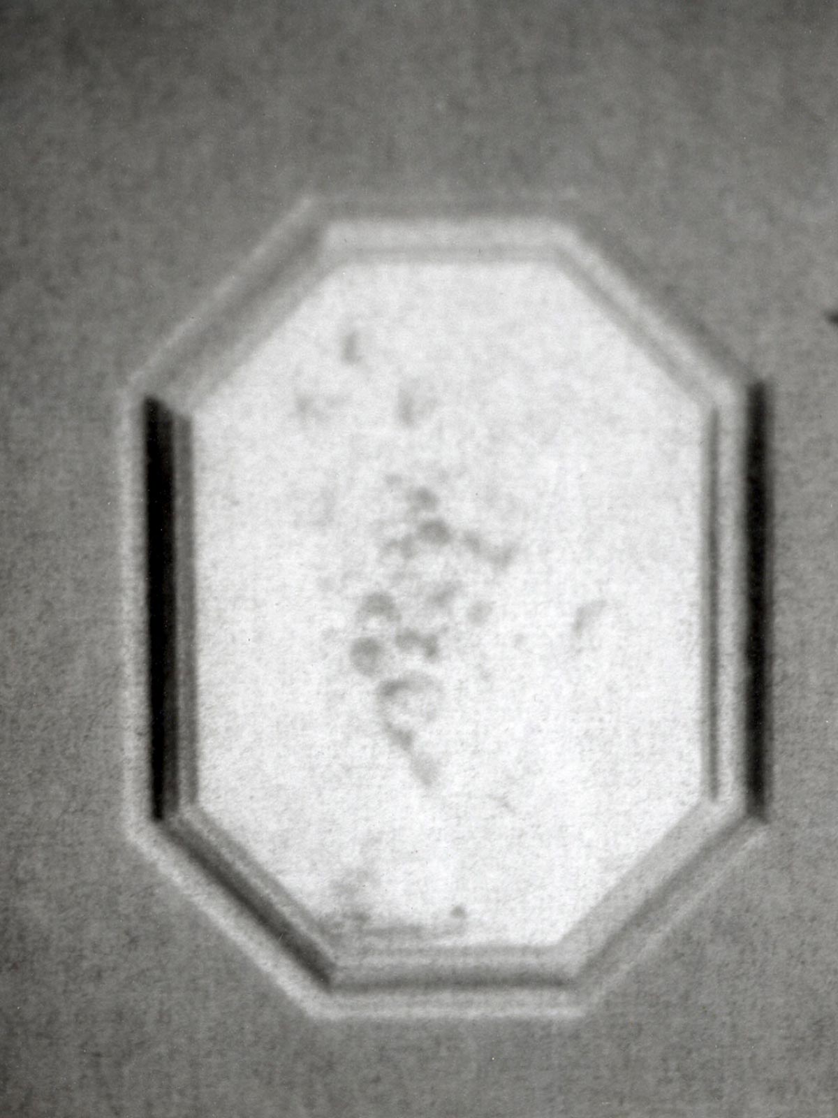 AndreaFerrari-Untitled-006